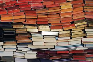 Bài văn phân tích 