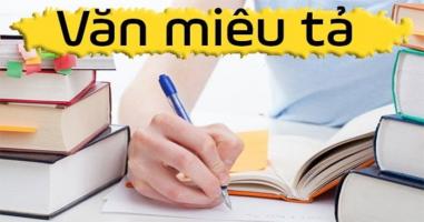 Dàn ý bài văn miêu tả cho học sinh lớp 5 chi tiết nhất