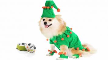 Shop phụ kiện cho thú cưng uy tín nhất Quận 2, TP. HCM