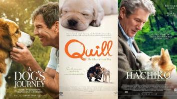 Bộ phim hay và cảm động nhất về chú chó