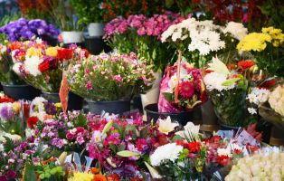 Cửa hàng hoa tươi đẹp nhất quận Hoàn Kiếm, Hà Nội
