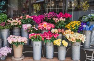 Shop hoa tươi đẹp nhất tỉnh Bắc Ninh