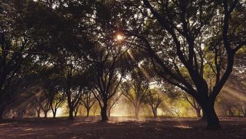 địa điểm chụp ảnh đẹp nhất ở Hà Nội vào mùa hè