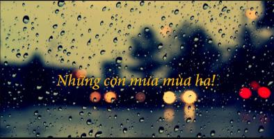 Bài thơ hay viết về mưa mùa hạ