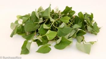 Công dụng thần kỳ của rau diếp cá