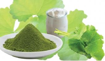 Địa chỉ bán bột rau má chất lượng nhất tại Hà Nội