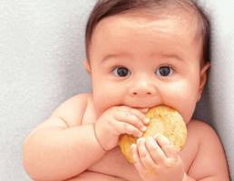 Loại bánh ăn dặm nhiều chất dinh dưỡng nhất cho bé