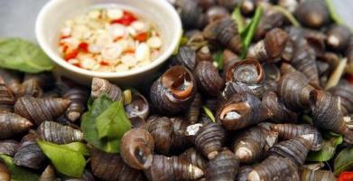 Quán ốc ngon nhất TP. Việt Trì, Phú Thọ