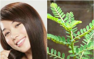 Cách trị nấm da đầu hiệu quả tại nhà