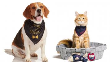 Shop bán phụ kiện cho thú cưng tại TPHCM tốt nhất