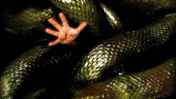 Bộ phim về loài rắn hay nhất bạn nên xem