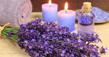 Lý do nên tặng Lavender (hoa oải hương) vào ngày Valentine