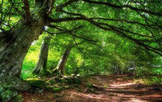 Con đường mòn đẹp nhất Thế giới mà bạn không thể nào bỏ qua