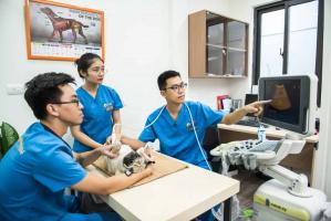 Phòng khám thú y uy tín nhất quận Đống Đa, Hà Nội