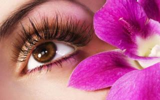 Địa chỉ uốn mi đẹp nhất TP. HCM