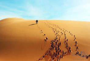 Bài phân tích hình ảnh người đi trên bãi cát trong 