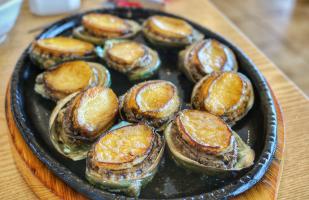 Địa chỉ bán bào ngư ngon nhất Đà Nẵng