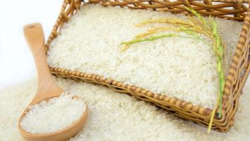 Công ty kinh doanh gạo tại Hà Nội uy tín và chất lượng nhất