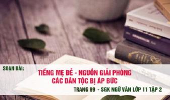 Bài soạn 