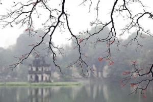 Bài thơ hay viết về những ngày đầu đông