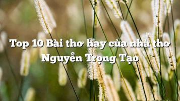 Bài thơ hay của nhà thơ Nguyễn Trọng Tạo
