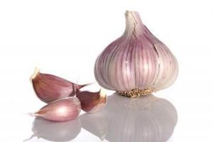 Bài thuốc hay chữa ho cho bé từ tỏi