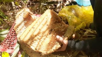 Bài văn cảm nhận bài 