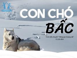 Bài văn cảm nhận về đoạn trích 