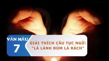 Bài văn giải thích câu tục ngữ 