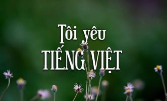 Bài văn nghị luận về giữ gìn sự trong sáng của tiếng Việt hay nhất