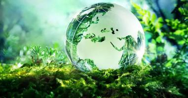 Bài văn nghị luận về một vấn đề cần giải quyết con người trong mối quan hệ tự nhiên