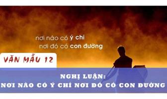Bài văn nghị luận xã hội về câu nói 