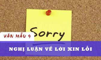 Bài văn nghị luận xã hội về giá trị của lời xin lỗi hay nhất