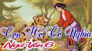 Bài văn phát biểu cảm nghĩ truyện 