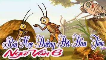 Bài văn phát biểu cảm nghĩ về đoạn trích 