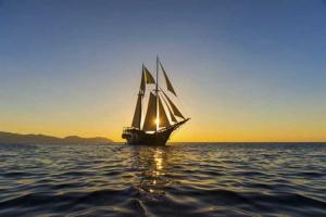 Bài văn sáng tỏ ý kiến hình tượng người đàn bà hàng chài trong 