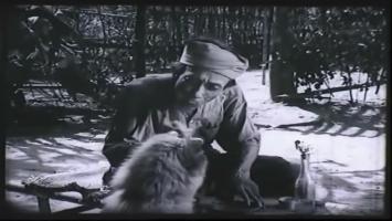 Bài văn suy nghĩ về cái chết của lão Hạc trong truyện 