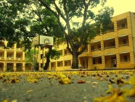 Bài văn tả cảnh trường em hay nhất