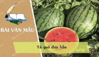 Bài văn tả quả dưa hấu (lớp 5) hay nhất