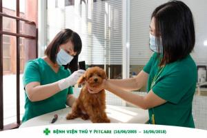 Dịch vụ tư vấn dinh dưỡng cho thú cưng tại TP HCM