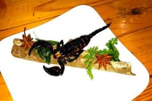 Loại côn trùng có thể ăn được