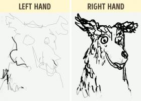 Cách giúp tăng cường trí não