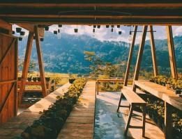 Cafe ngắm trọn Đà Lạt thu hút nhất