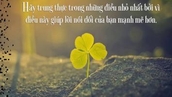 Câu chuyện hay về lòng trung thực đáng tự hào nhất