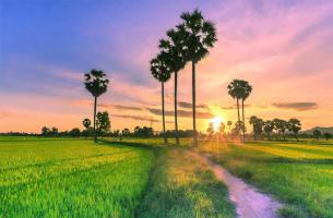 Bài hát hay về An Giang