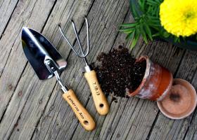 Địa chỉ bán đất và dụng cụ làm vườn tại TP. HCM