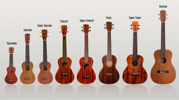 Cách chọn mua đàn ukulele âm thanh, chất lượng tốt, uy tín nhất