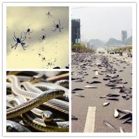 Cơn mưa quái lạ nhất trên thế giới