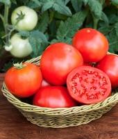 Công dụng tuyệt vời của quả cà chua cho sức khỏe và làm đẹp