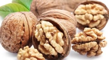 Công dụng tuyệt vời của quả óc chó đối với sức khỏe